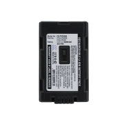 Camera Battery Panasonic NV-DS30EG